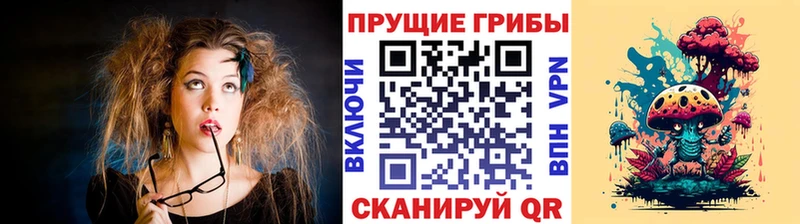 Псилоцибиновые грибы MAGIC MUSHROOMS Камышлов