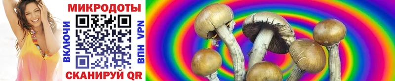 blacksprut вход Камышлов Галлюциногенные грибы Magic Shrooms